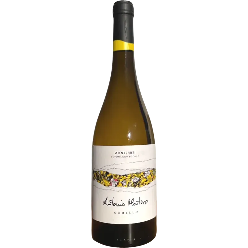 Antonio Montero Godello