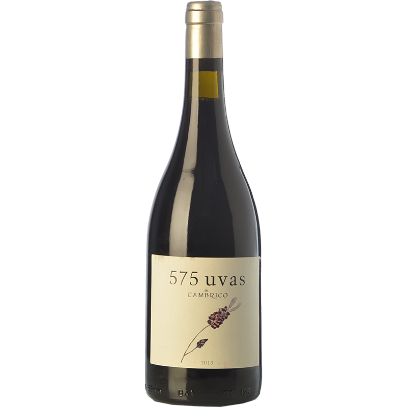 575 Uvas de Cámbrico