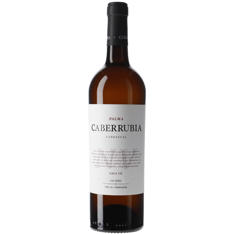 Luis Pérez Fino Caberrubia Saca VII