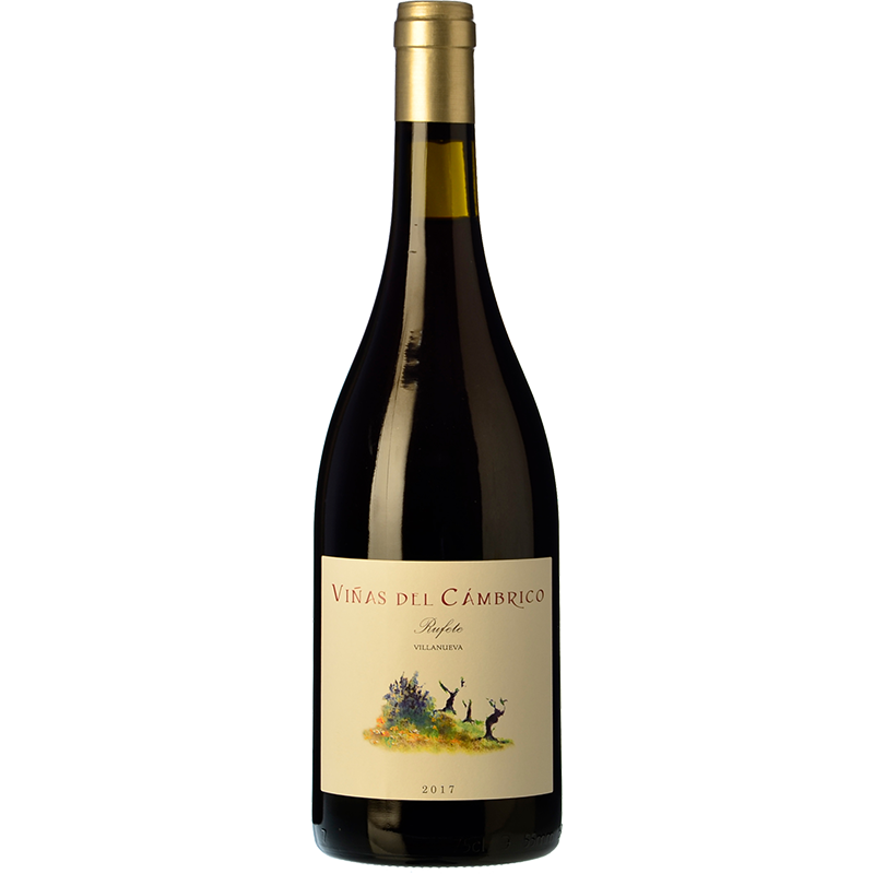 Viñas del Cámbrico Villanueva