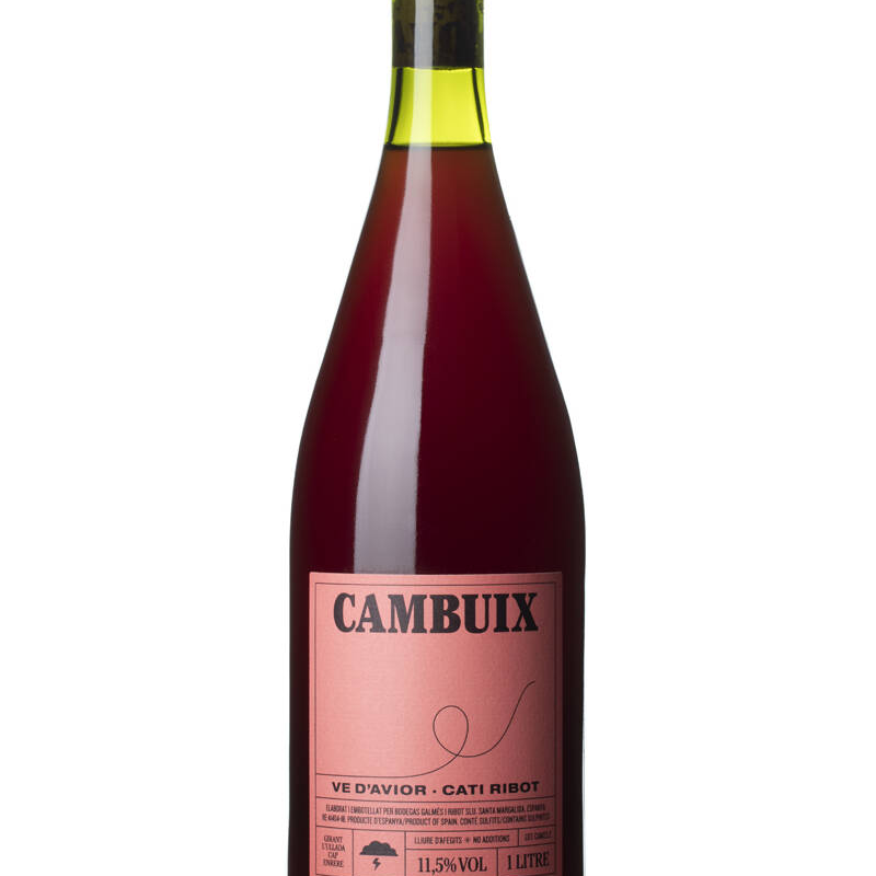 Cati Ribot Cambuix