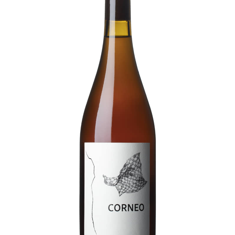 Frontio Corneo