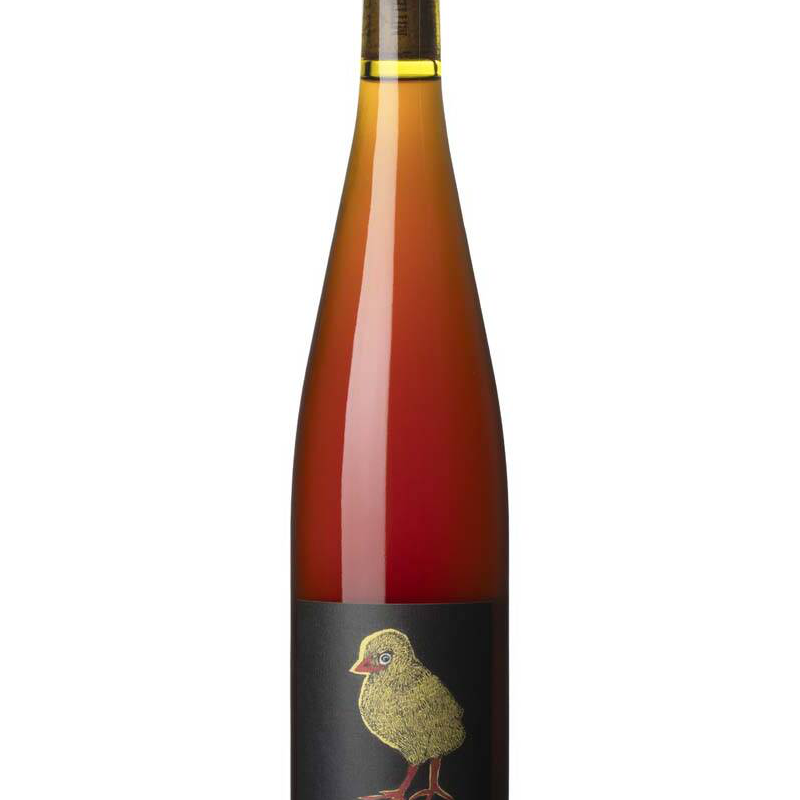 Rietsch Coquette