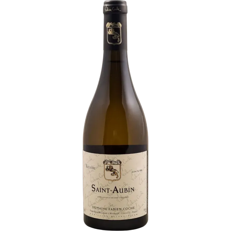 Fabien Coche Saint Aubin