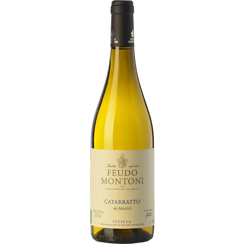 Feudo Montoni Catarratto del Masso
