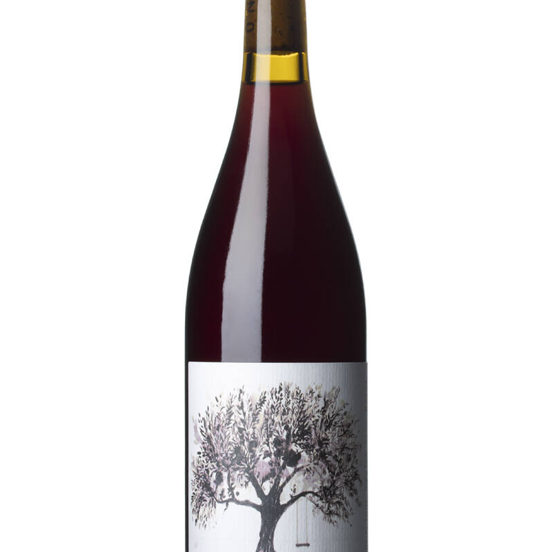 Vino di Anna Vigna Pirao Rosso