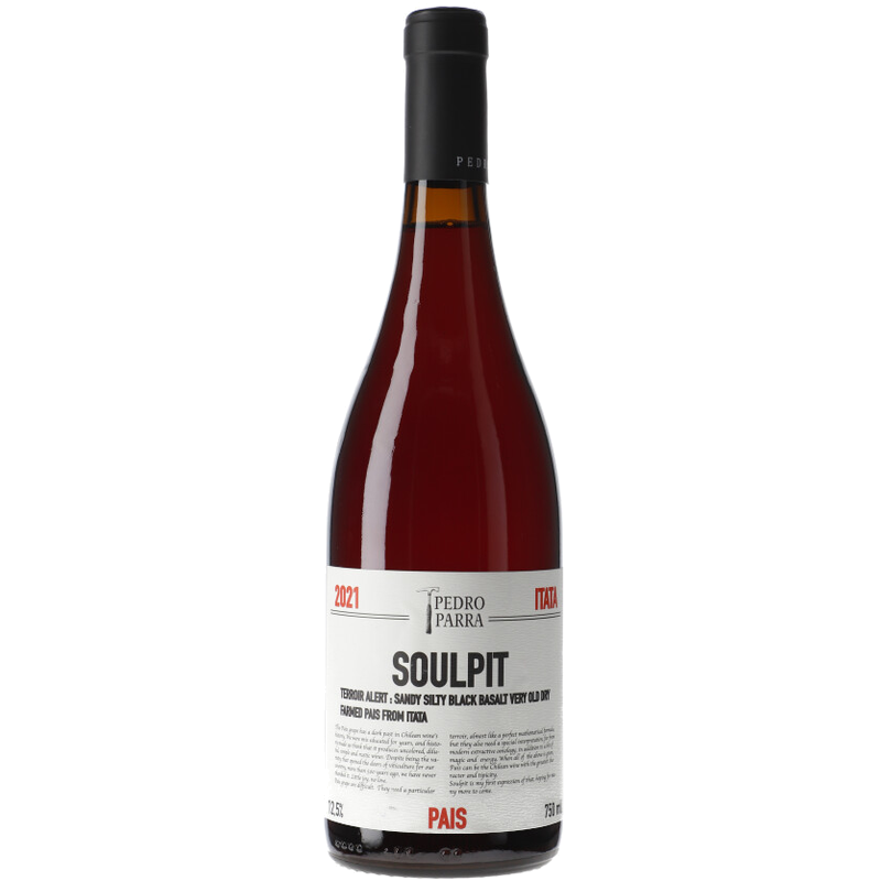 Pedro Parra y Familia Soulpit
