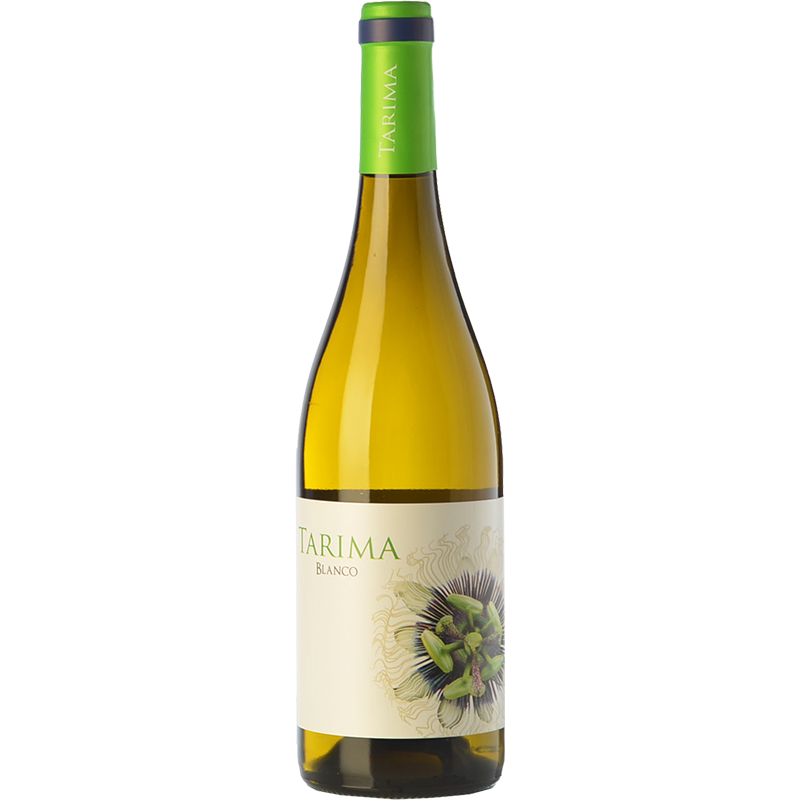 Tarima Blanco