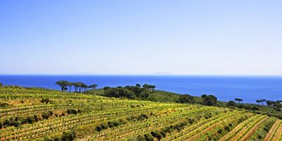 Acquabona
