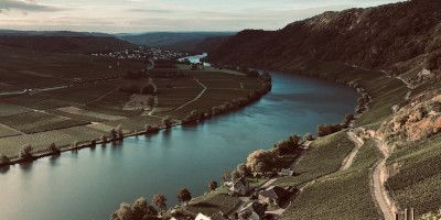 Weingut A. J. Adam