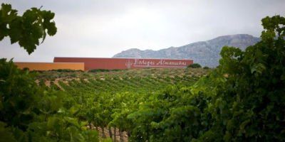 Bodegas Almanseñas