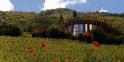 Clos Apalta