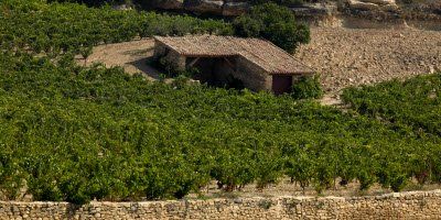 Artadi