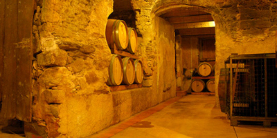 Vinyes dels Aspres