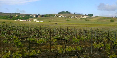 Champagne Aubry