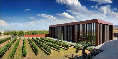 Antiguas Viñas de Rioja