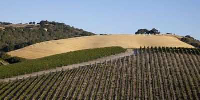 L'Aventure Winery
