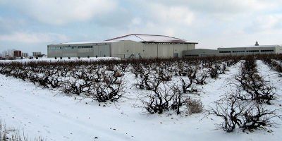Bodegas Avelino Vegas