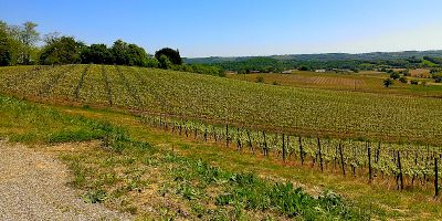 Château Aydie