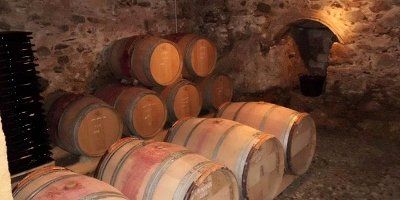 Celler Balmaprat