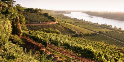 Weingut Battenfeld-Spanier