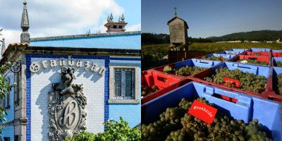 Agro de Bazán