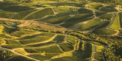 Bodega Garzón