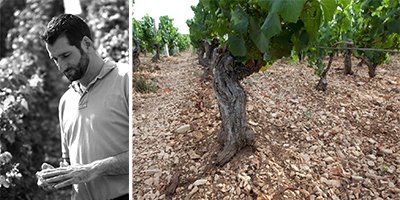 Domaine Billaud-Simon