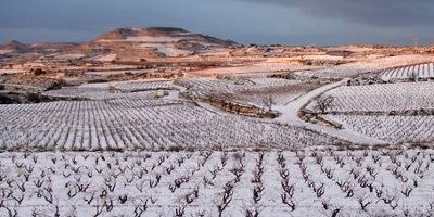 Bodegas Amaren