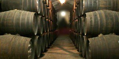 Bodegas Cruz Conde