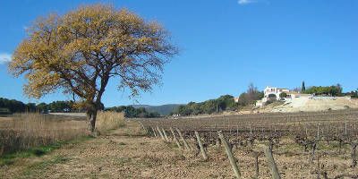 Vins i Caves Bolet
