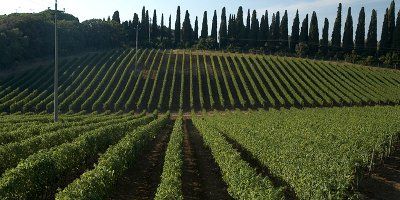 Castello di Bolgheri
