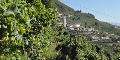 F.lli Bortolin Spumanti