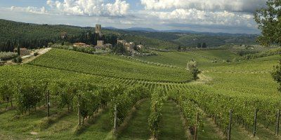 Badia a Passignano - Marchesi Antinori