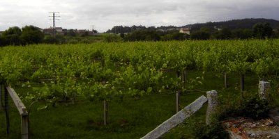 Bodegas Tomada de Castro