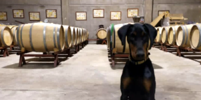 Bodega Teodoro Ruiz Monge