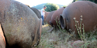 Bodegas Tierra Savia
