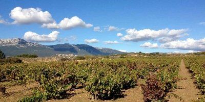 Bodegas Valdelana