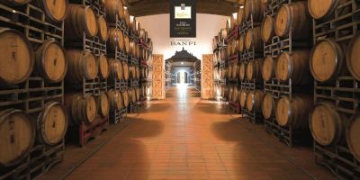 Banfi