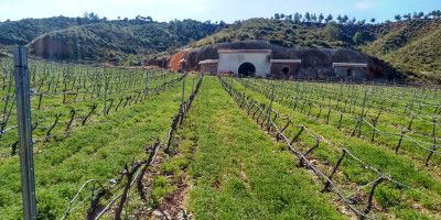 Bodegas Cauzón