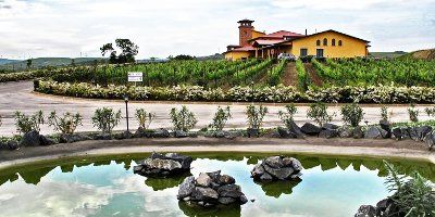 Cantine del Notaio