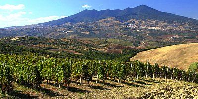 Cantine del Notaio