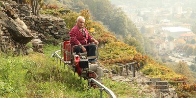 La monorotaia, strumento fondamentale per la vendemmia