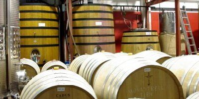 Celler La Muntanya