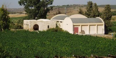 Clos de Gat