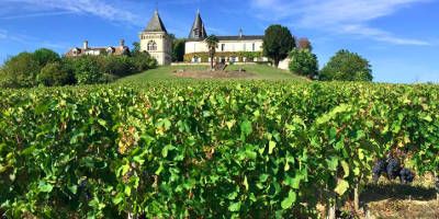 Château Carlmagnus - Vinissimus : Achat de vins sur internet