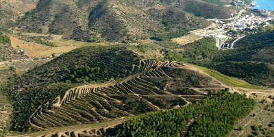 Celler Hugas de Batlle