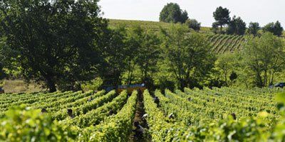 Clos des Lunes
