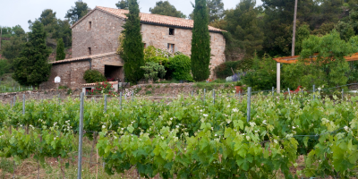 Finca Colltor