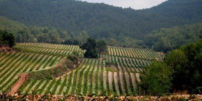 Clos Montblanc